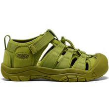 Indlæs billede til gallerivisning Outdoor sandal m. velcro, Grøn
